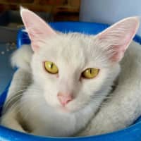Photo of Cloud