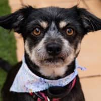 Photo of Jedda O'cleary