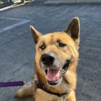 Photo of Theodore