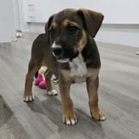 Photo of Marceline The Vampire Queen