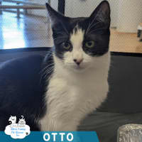 Photo of Otto 