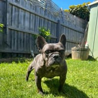 Photo of Maggie And Mr Wiggles