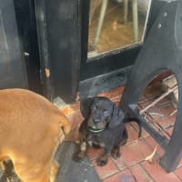 Photo of Reggie