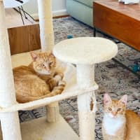 Photo of Saige & Charlie 