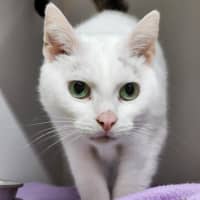 Photo of 🫶 Finn 6713 🫶