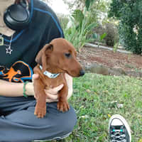 Photo of Wiggles