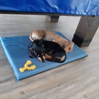 Photo of Bill And Ted