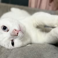 Photo of Tammy