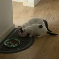 Photo of Bean And Biscuit