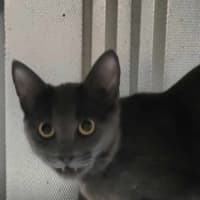 Photo of Yazzie