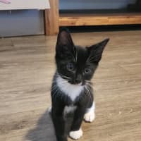 Photo of Haim