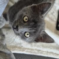 Photo of Pocket