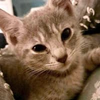 Photo of Eidie (K46)