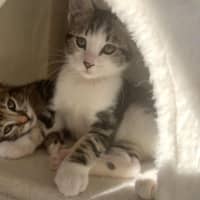 Photo of Tiggy
