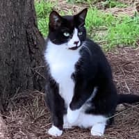 Photo of Mieka And Loki