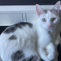 Photo of Wilson 🤍