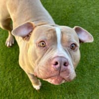 Photo of Winnie