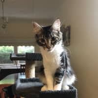 Photo of Truffle