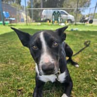 Photo of Nando (Spyro)