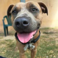 Photo of Turbo