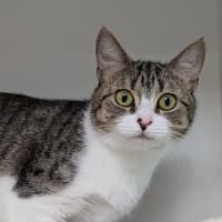 Photo of Annie