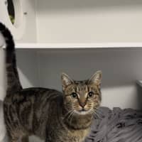 Photo of Sweetie 