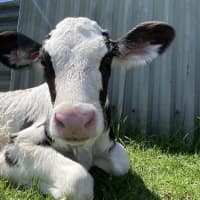 Photo of Benson And Arthur