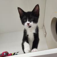 Photo of Disney  Crew