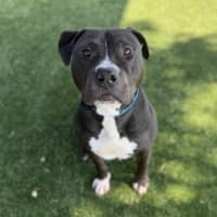 Photo of Cruiser Imp 430