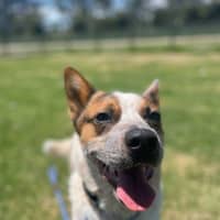 Photo of Charlie Arnold