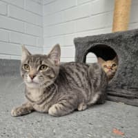 Photo of Autumn! 🍁