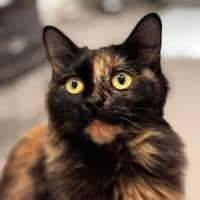Photo of Ruby