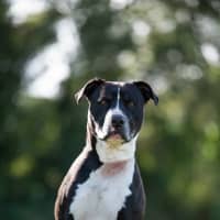 Photo of Jethro