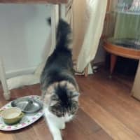 Photo of Ms. Ida Mae