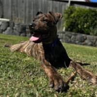 Photo of Benson 