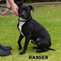 Photo of Hansen