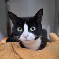 Photo of Peppermint Patty