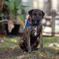 Photo of Jaxx