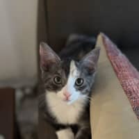 Photo of Amy