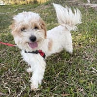 Photo of Twix