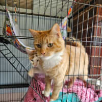 Photo of Starfish 🌟 