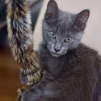 Photo of 💙 Ash 💙