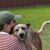 Photo of Chip