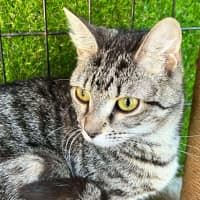 Photo of Milly