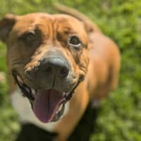 Photo of 🍄 Marley 5313 🍄