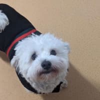 Photo of Max