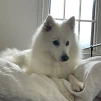 Photo of Bella 