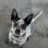 Photo of Bud