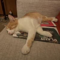 Photo of Olivia O'cleary