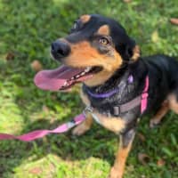 Photo of Kiki